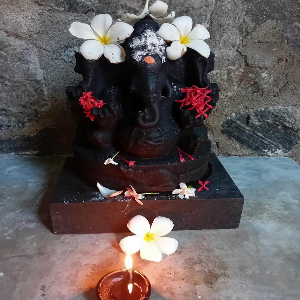 Thai pongal , Ehela villa